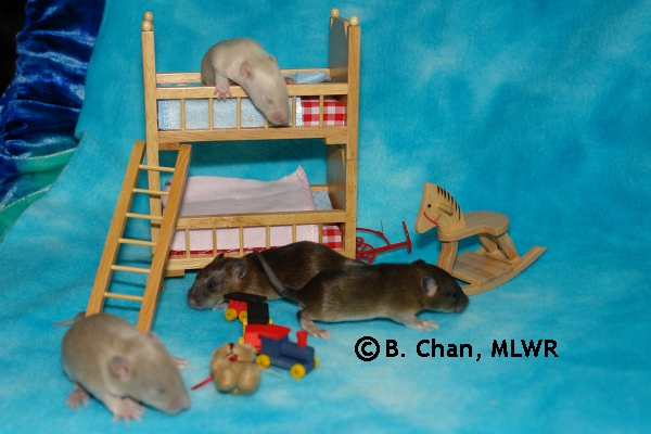 Boys - Day 14
