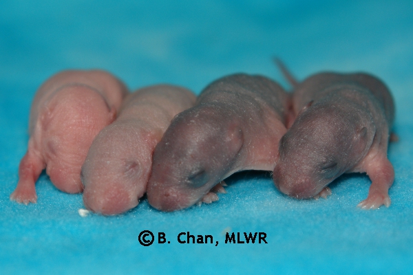 Boys - Day 4