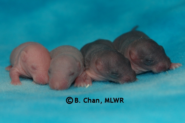 Boys - Day 5