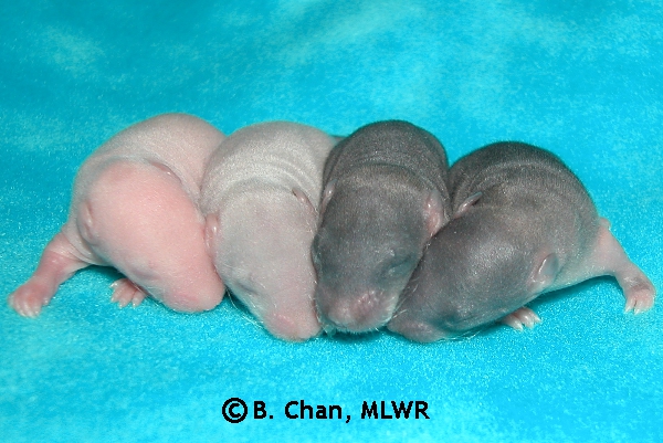 Boys - Day 7