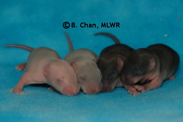 Boys - Day 8