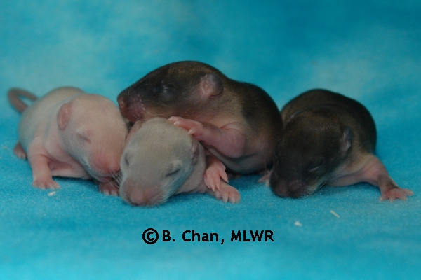Boys - Day 9