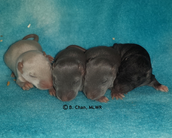 Boys - Day 10