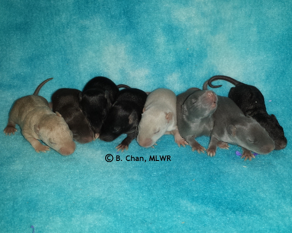 Group - Day 11