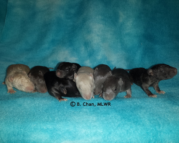 Group - Day 14