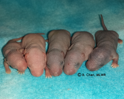 Boys - Day 4