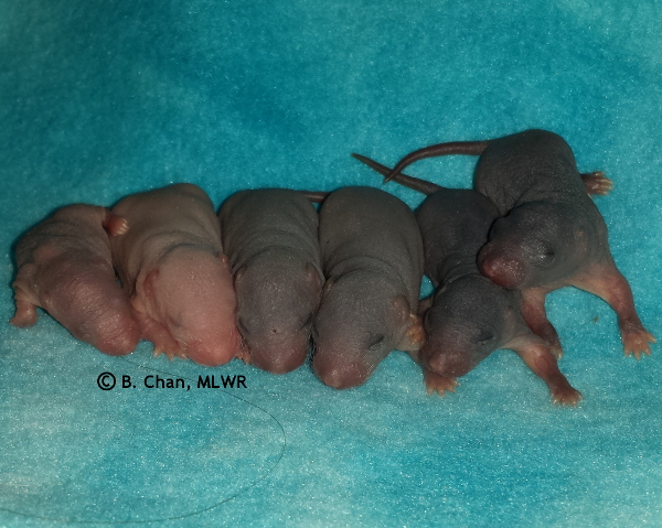 Boys - Day 5