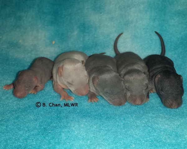 Boys - Day 8
