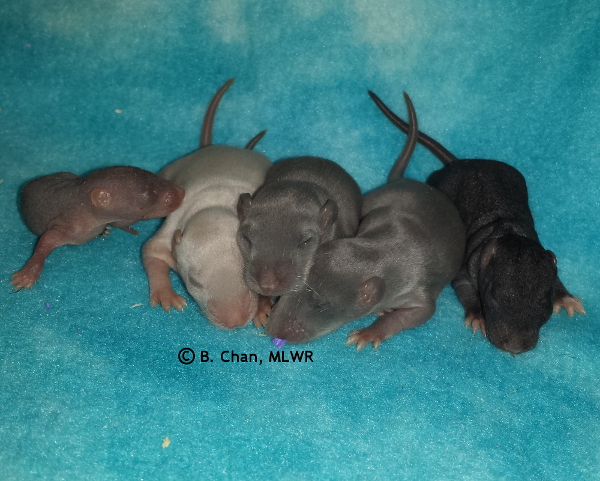 Boys - Day 9