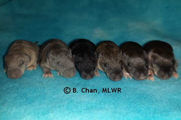 Group - Day 11