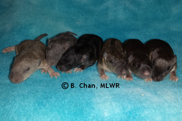 Group - Day 12