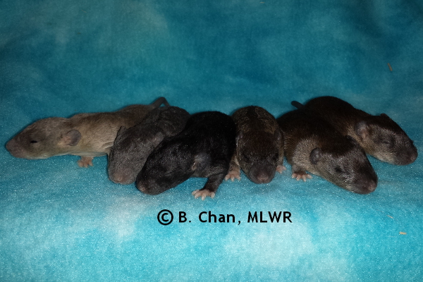 Group - Day 13