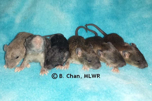Group - Day 14