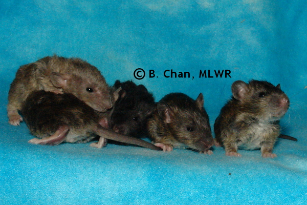 Group - Day 18