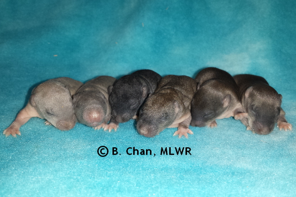 Group - Day 9