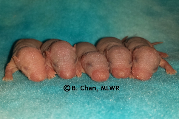 Boys - Day 4