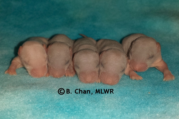 Boys - Day 7