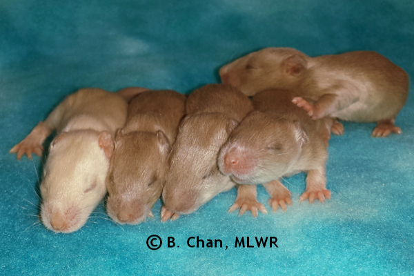 Boys - Day 14