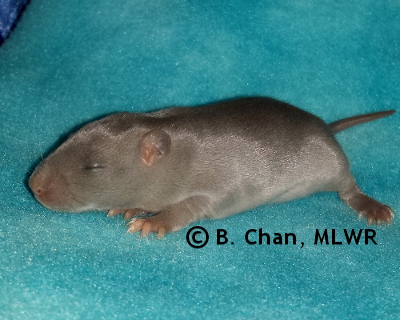 Edith - 10 days