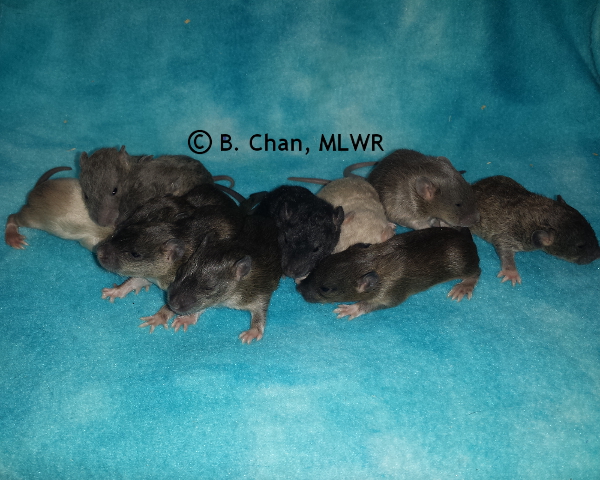 Group - Day 14