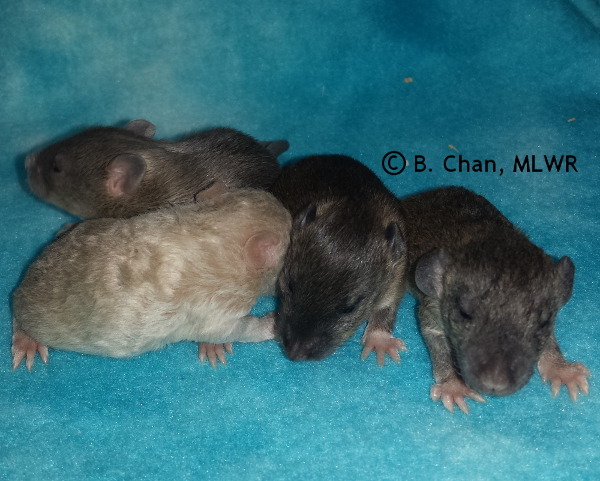 Boys - Day 14