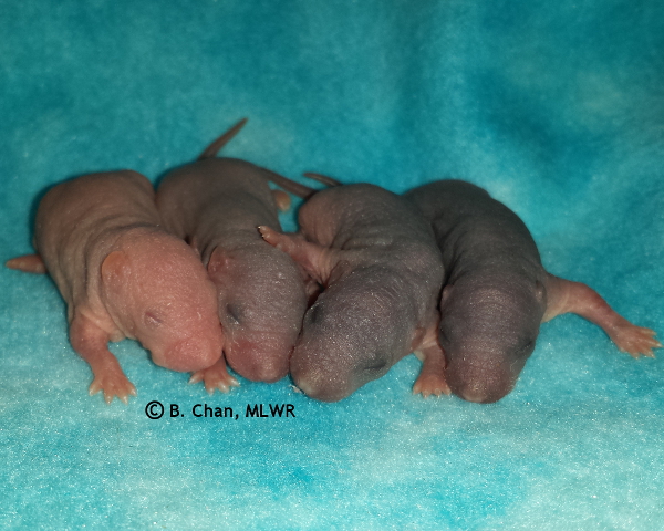 Boys - Day 3
