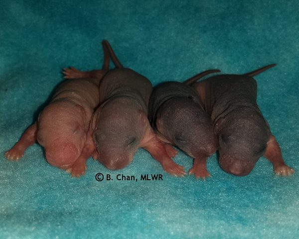 Boys - Day 4