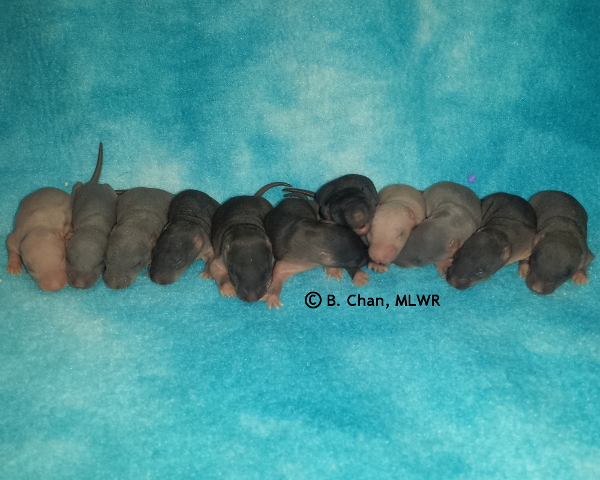 Group - Day 7