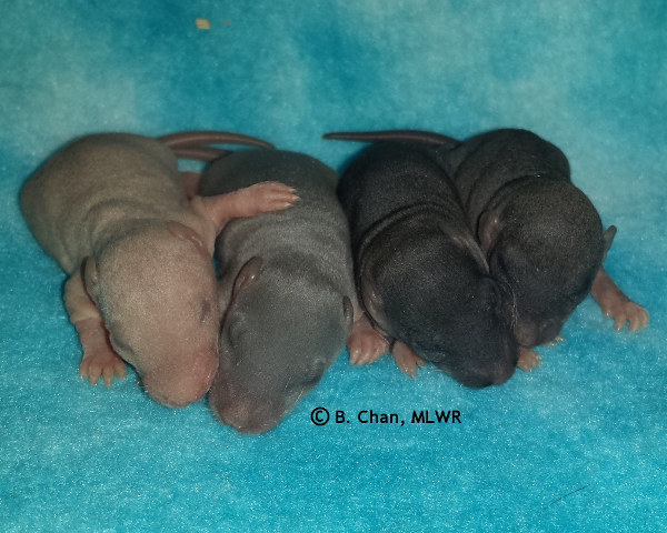 Boys - Day 7
