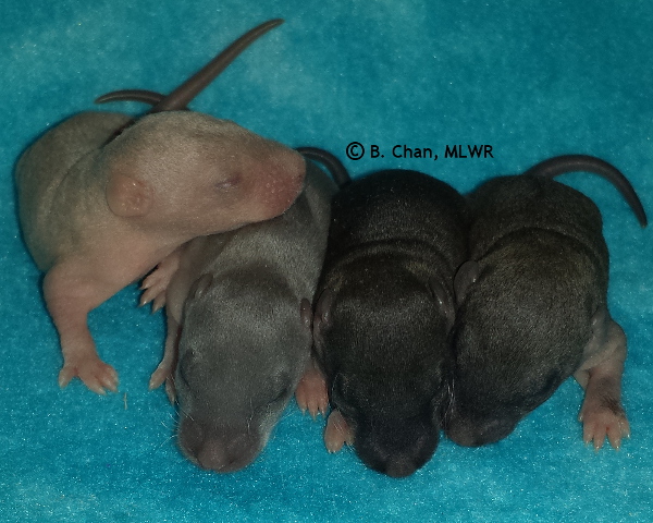 Boys - Day 8
