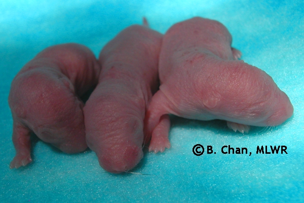 Boys - Day 1