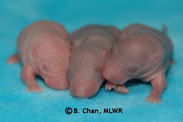 Boys - Day 3
