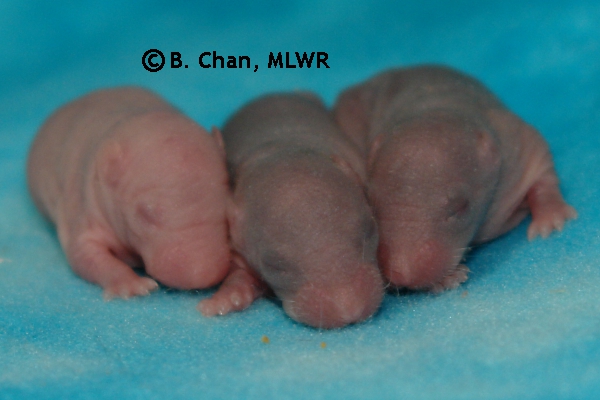 Boys - Day 4
