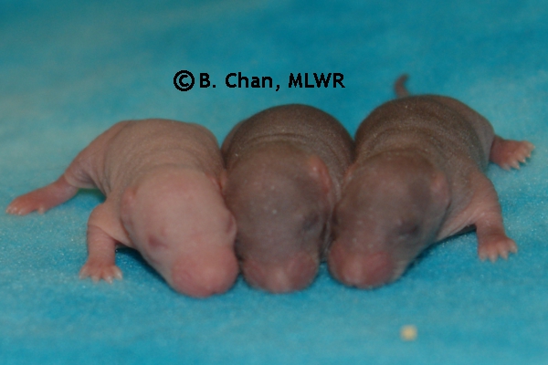 Boys - Day 5
