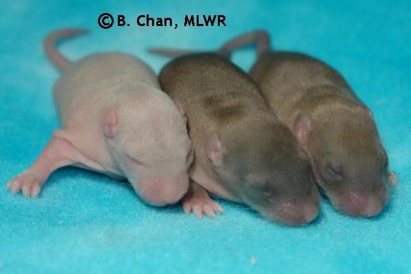 Boys - Day 8