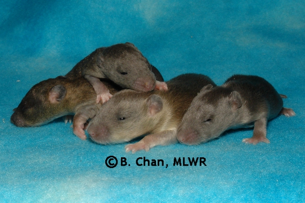Boys - Day 14