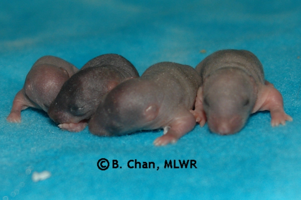 Boys - Day 7