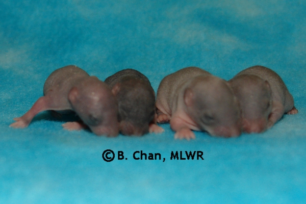 Boys - Day 8