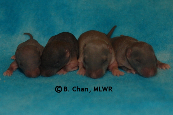 Boys - Day 9