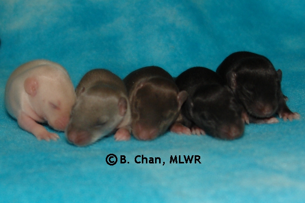 Boys - Day 10