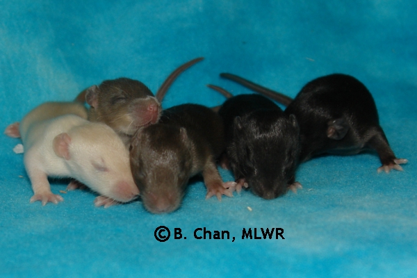 Boys - Day 13