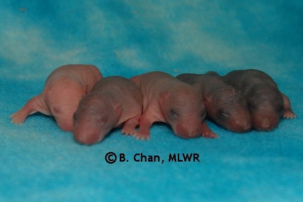 Boys - Day 4