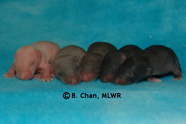 Boys - Day 7