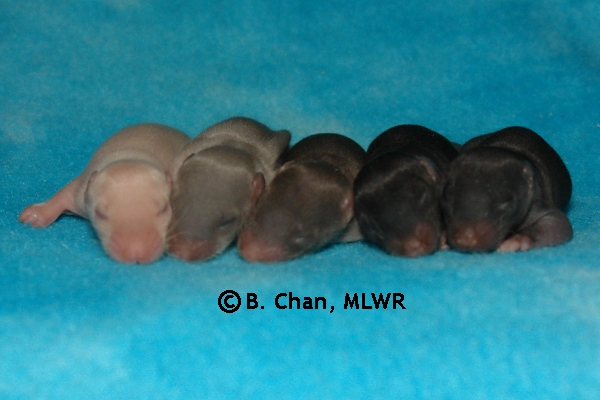 Boys - Day 8