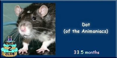 Dot