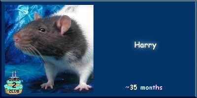 Harry