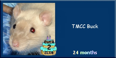 TMCC Buck