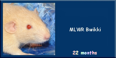 MLWR Bwikki