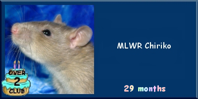 MLWR Chiriko