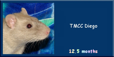 TMCC Diego